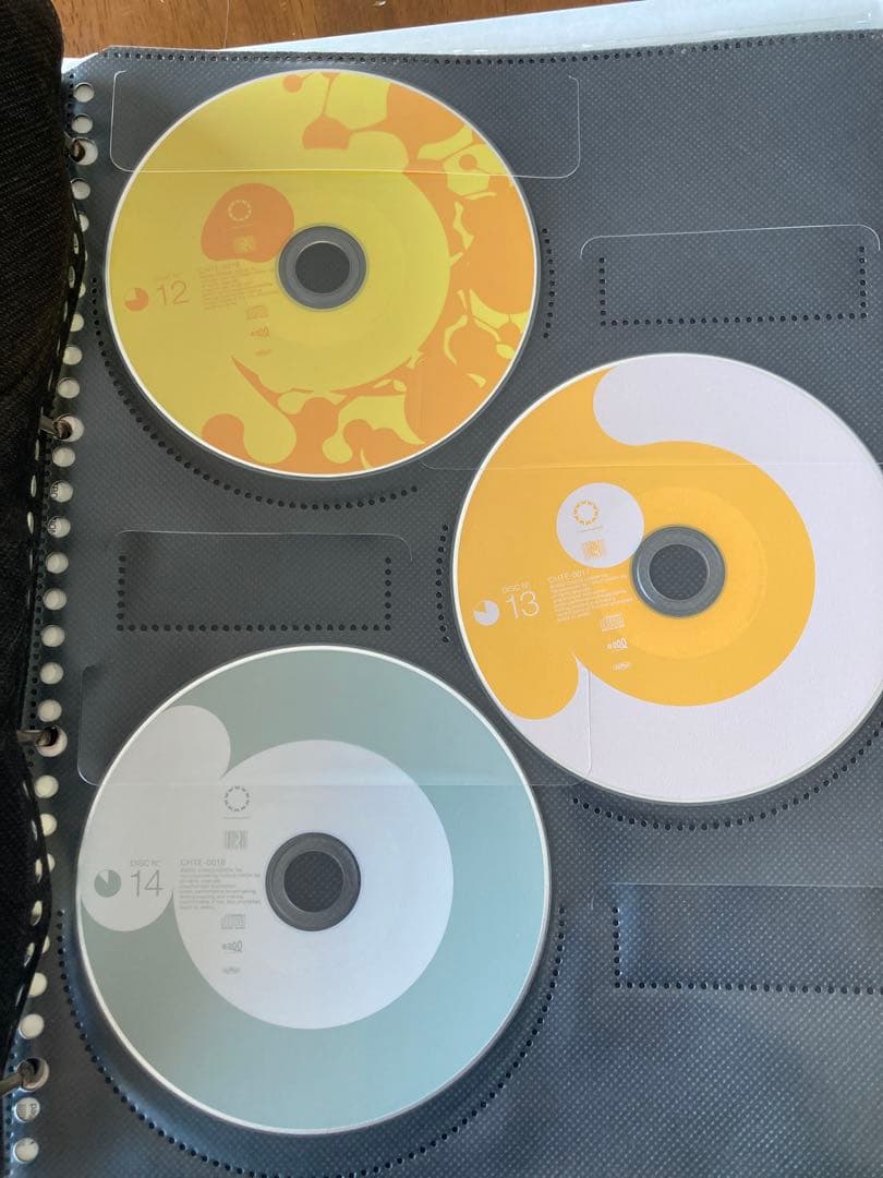 太陽系亞種音 P-MODEL ファンクラブ特典Disc00付　平沢進