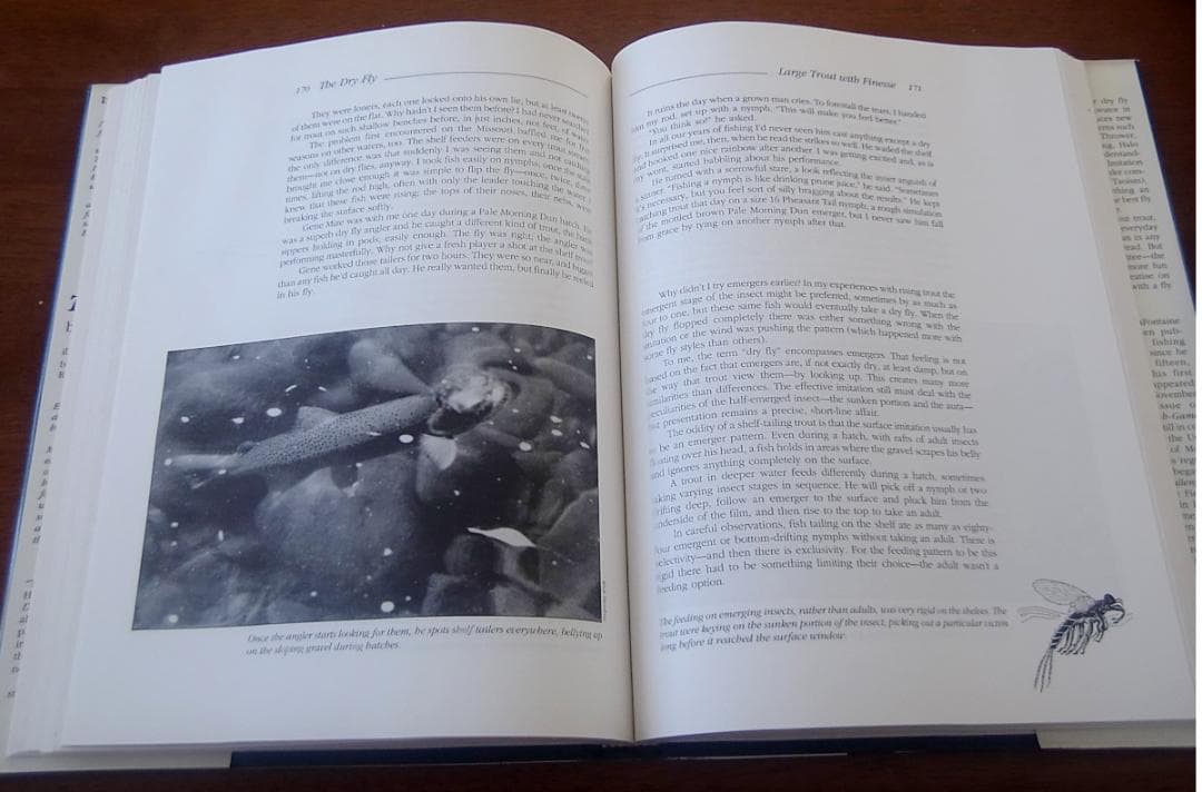 The Dry Fly:New Angles英語版Gary Lafontaine