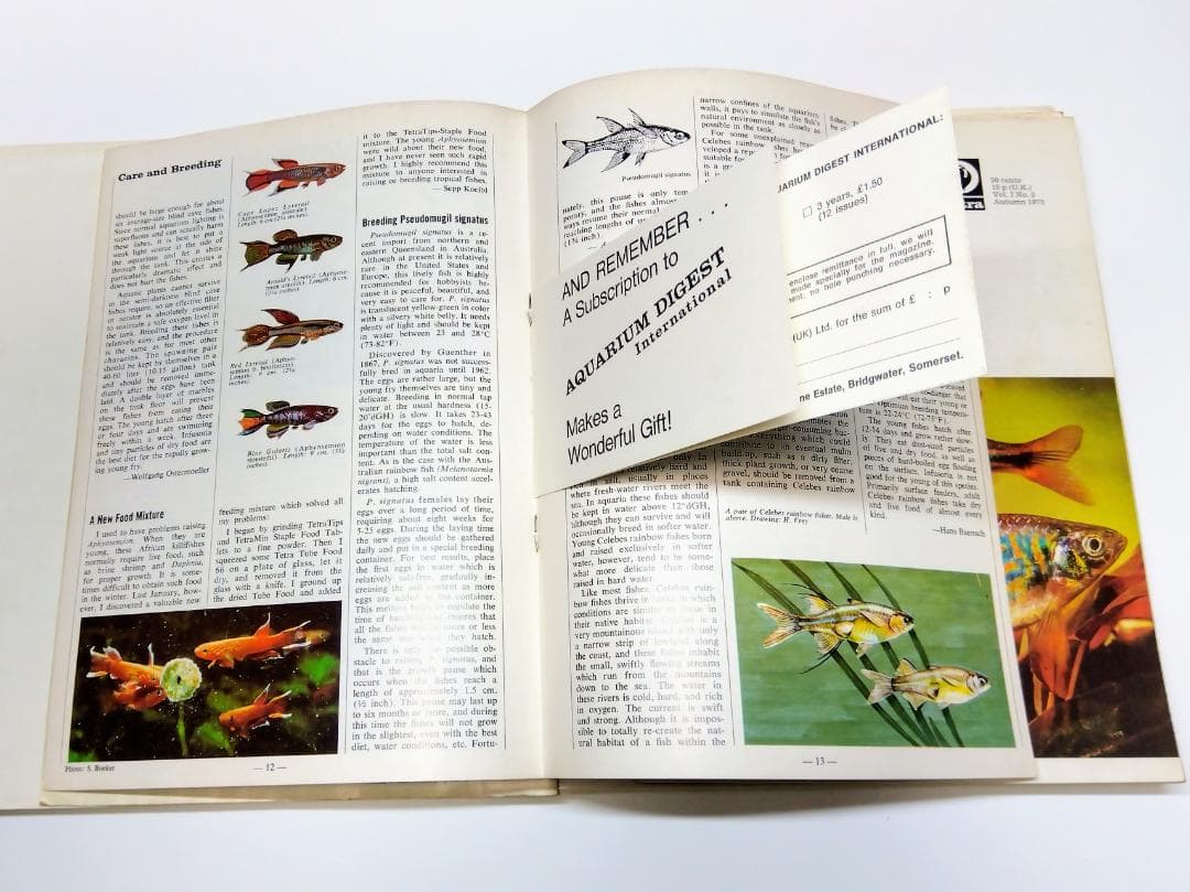 k*i様 希少古書 1972年～ テトラ 世界のアクアリウム情報誌 創刊号 No