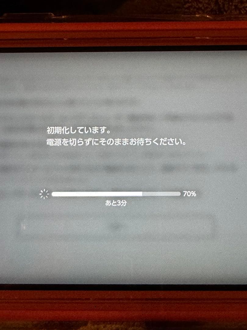 Nintendo Switch Lite コーラル　ニンテンドー　スイッチライト