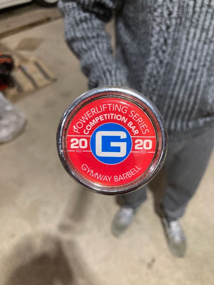 ROGUE ウエイトプレート バンパープレート バーベル 茨城県取り引き