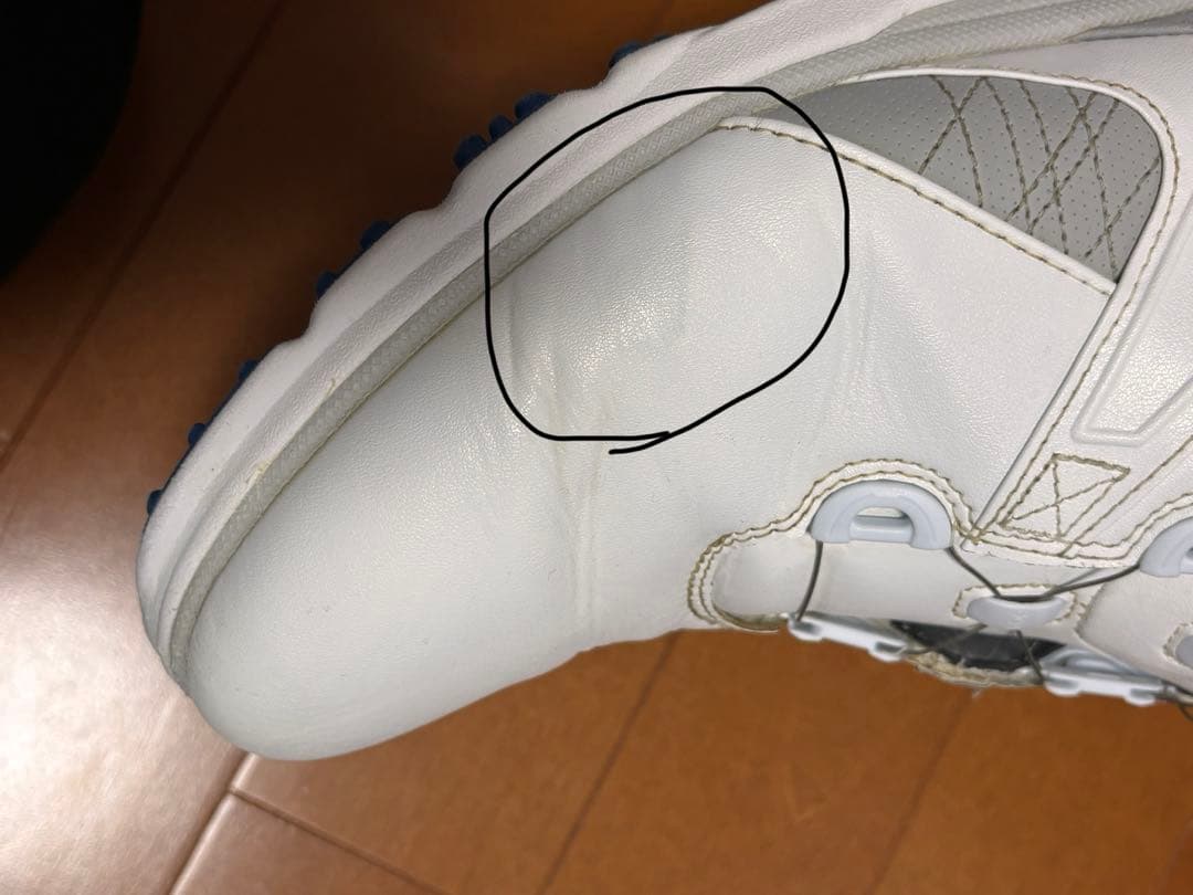 フットジョイ 53830J PRO/SL Boa 25cm WH/BL