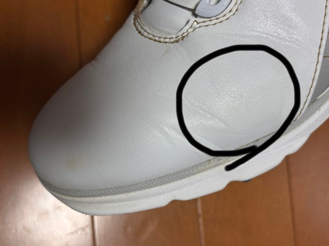 フットジョイ 53830J PRO/SL Boa 25cm WH/BL