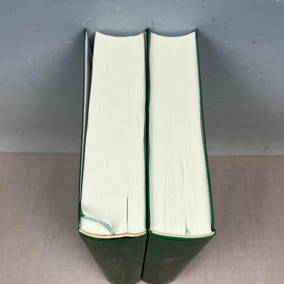 48 症状による中医診断と治療 上巻・下巻セット 趙金鐸 燎原書店 中古本