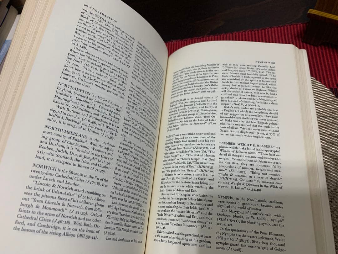 希少　A Blake Dictionary by S. Foster Damon