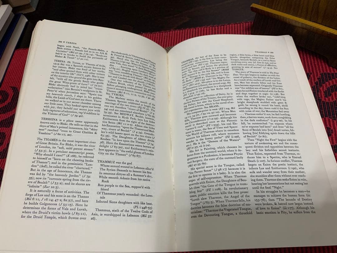 希少　A Blake Dictionary by S. Foster Damon