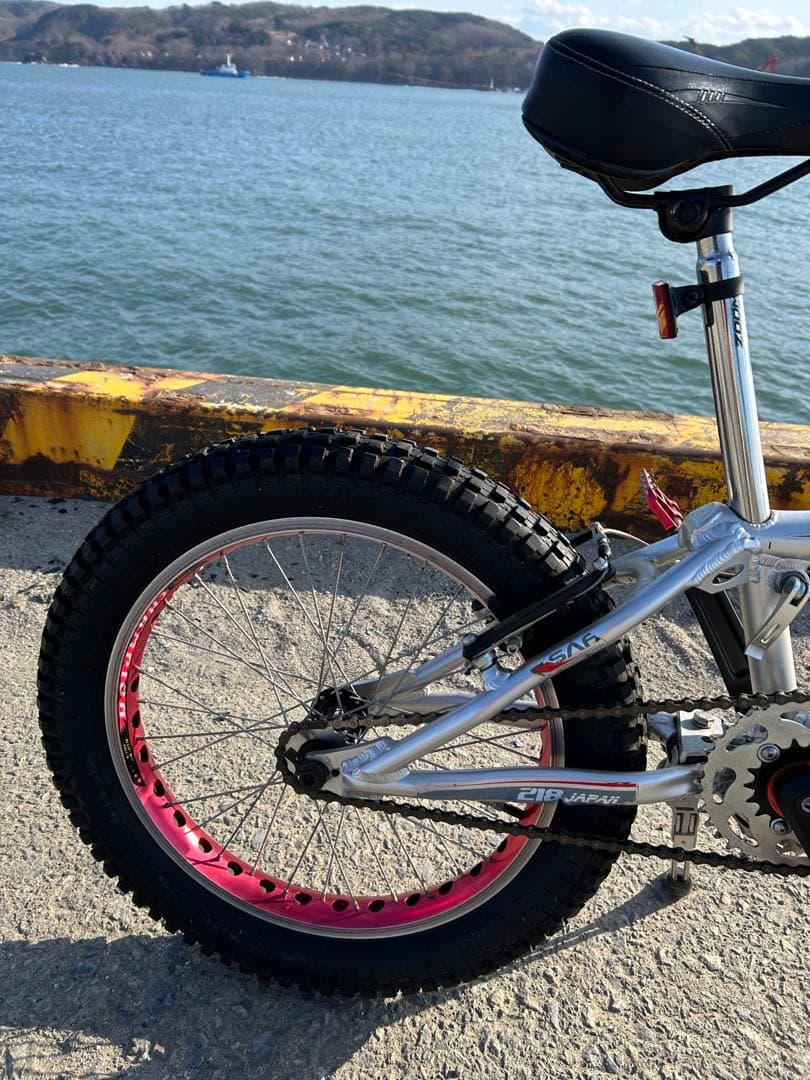 【引き取り限定】　トライアル用自転車　 MONTY 218 kamel J