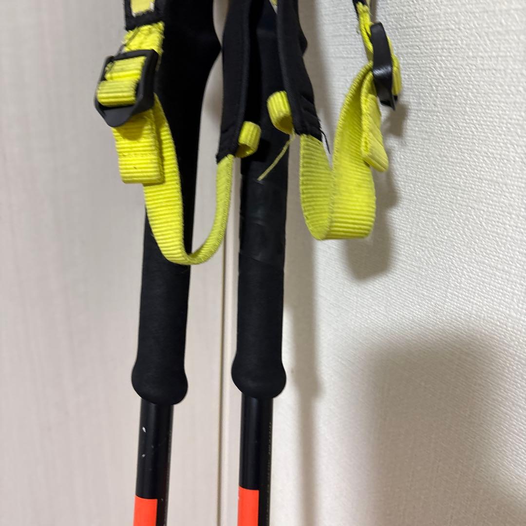 サロモン スキー　ストック　バックカントリー　パウダー