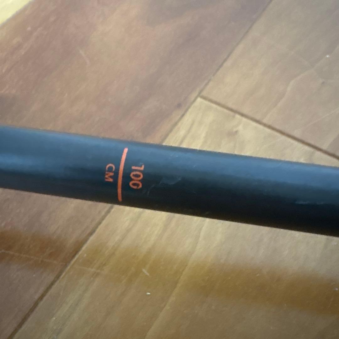 サロモン スキー　ストック　バックカントリー　パウダー