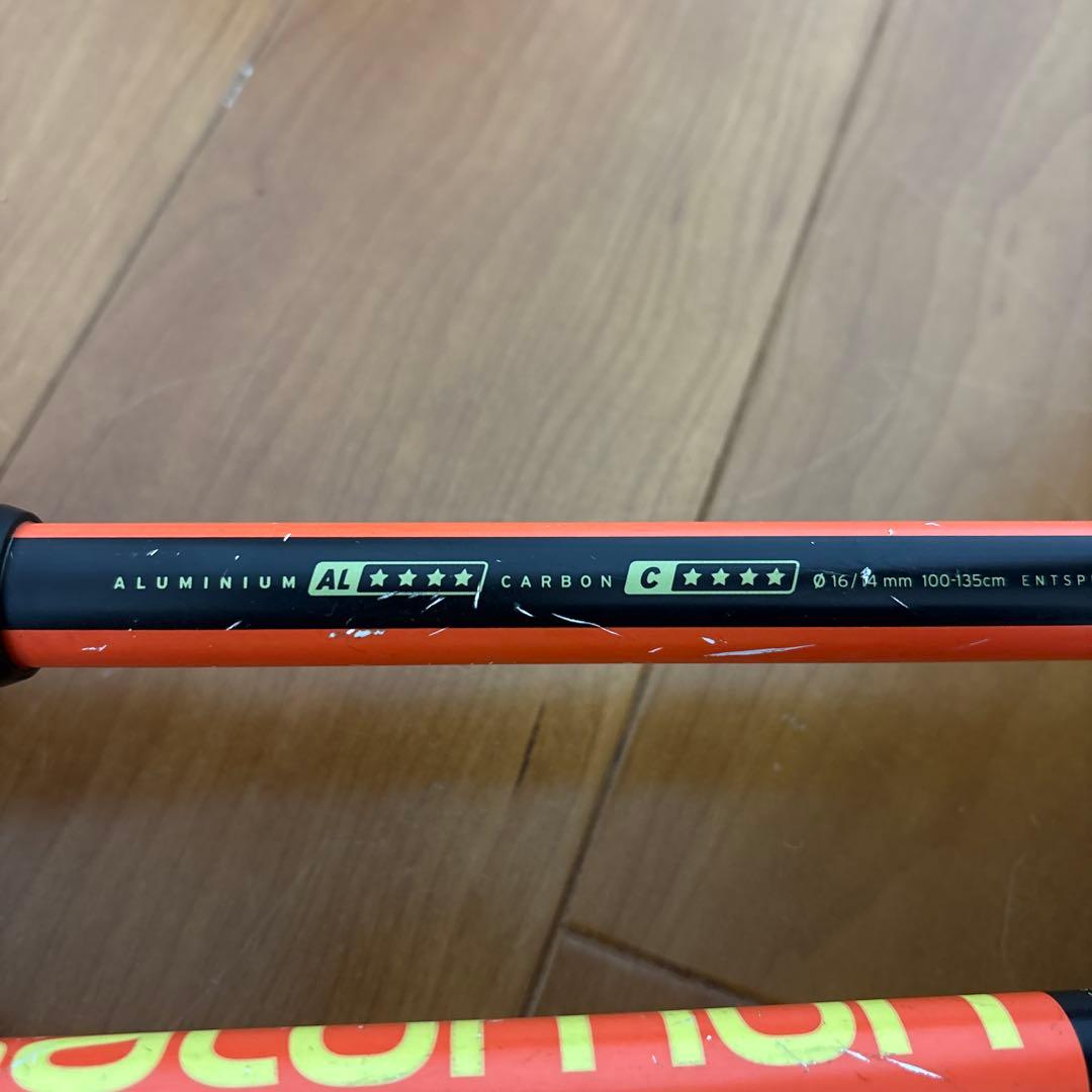 サロモン スキー　ストック　バックカントリー　パウダー