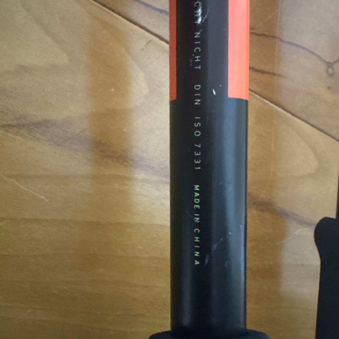 サロモン スキー　ストック　バックカントリー　パウダー