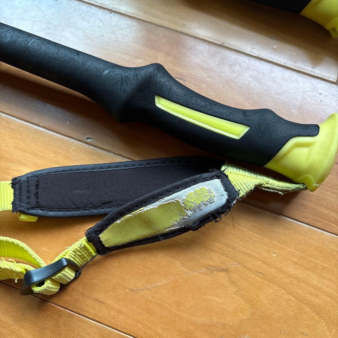 サロモン スキー　ストック　バックカントリー　パウダー