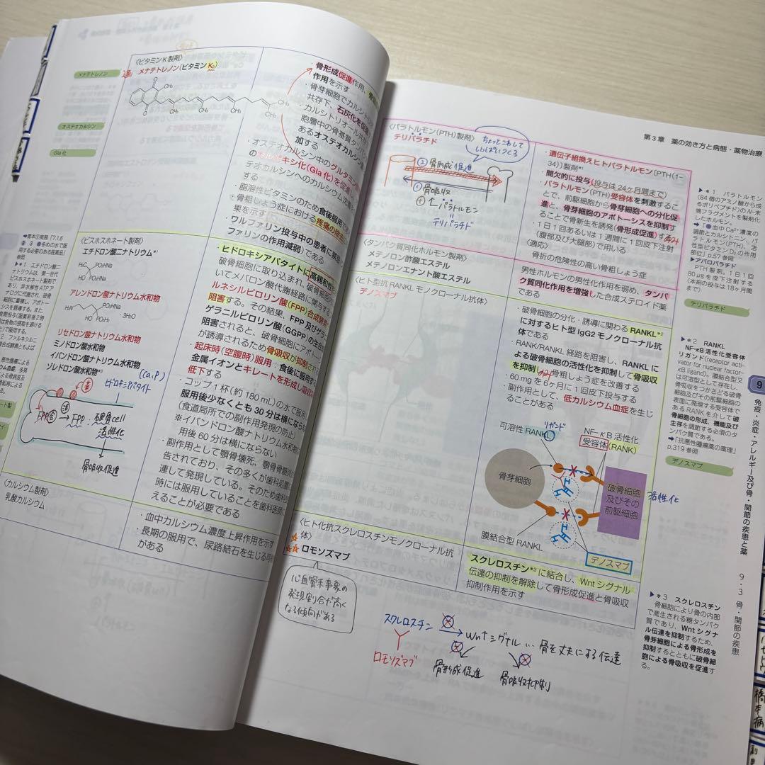 薬学ゼミナール第110回薬剤師国家試験対策参考書 青本青問全セット直前講習資料付