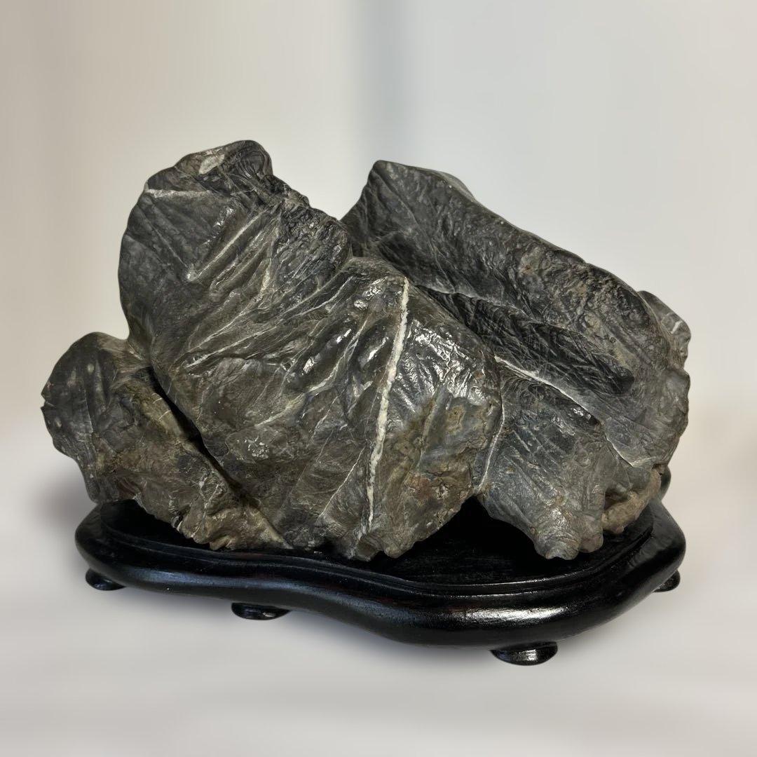 紀州古谷石 盆石