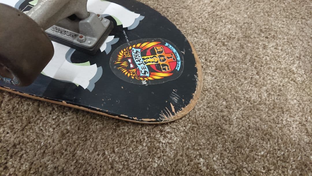 CARVER VENICE スケートボード