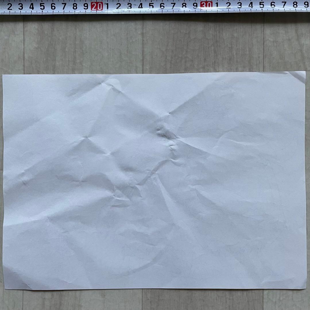 決定稿 1枚 設定資料 モトバロ 愛バイソン ルフィ 対比