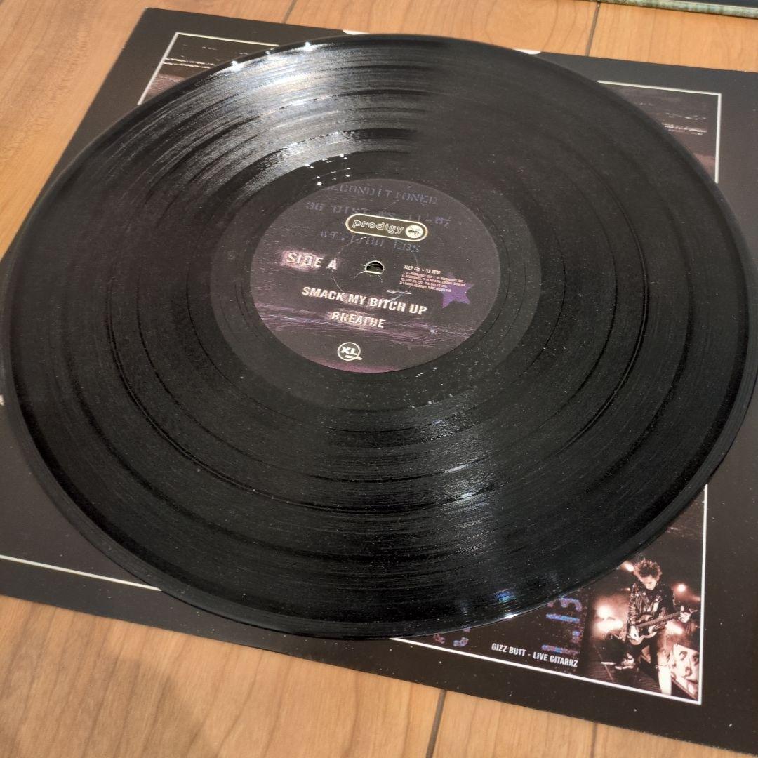 美品 PRODIGY THE FAT OF THE LAND プロディジー LP