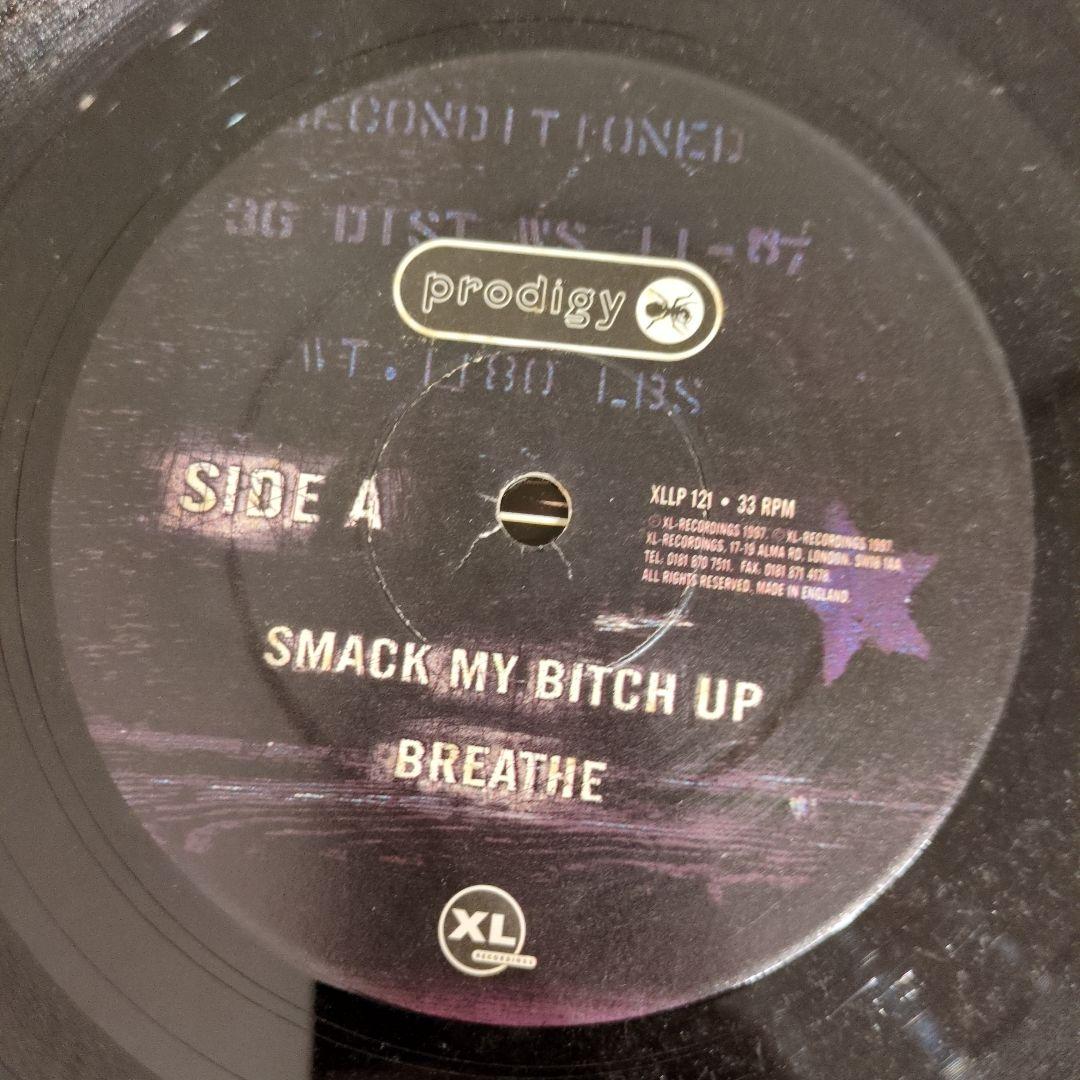 美品 PRODIGY THE FAT OF THE LAND プロディジー LP