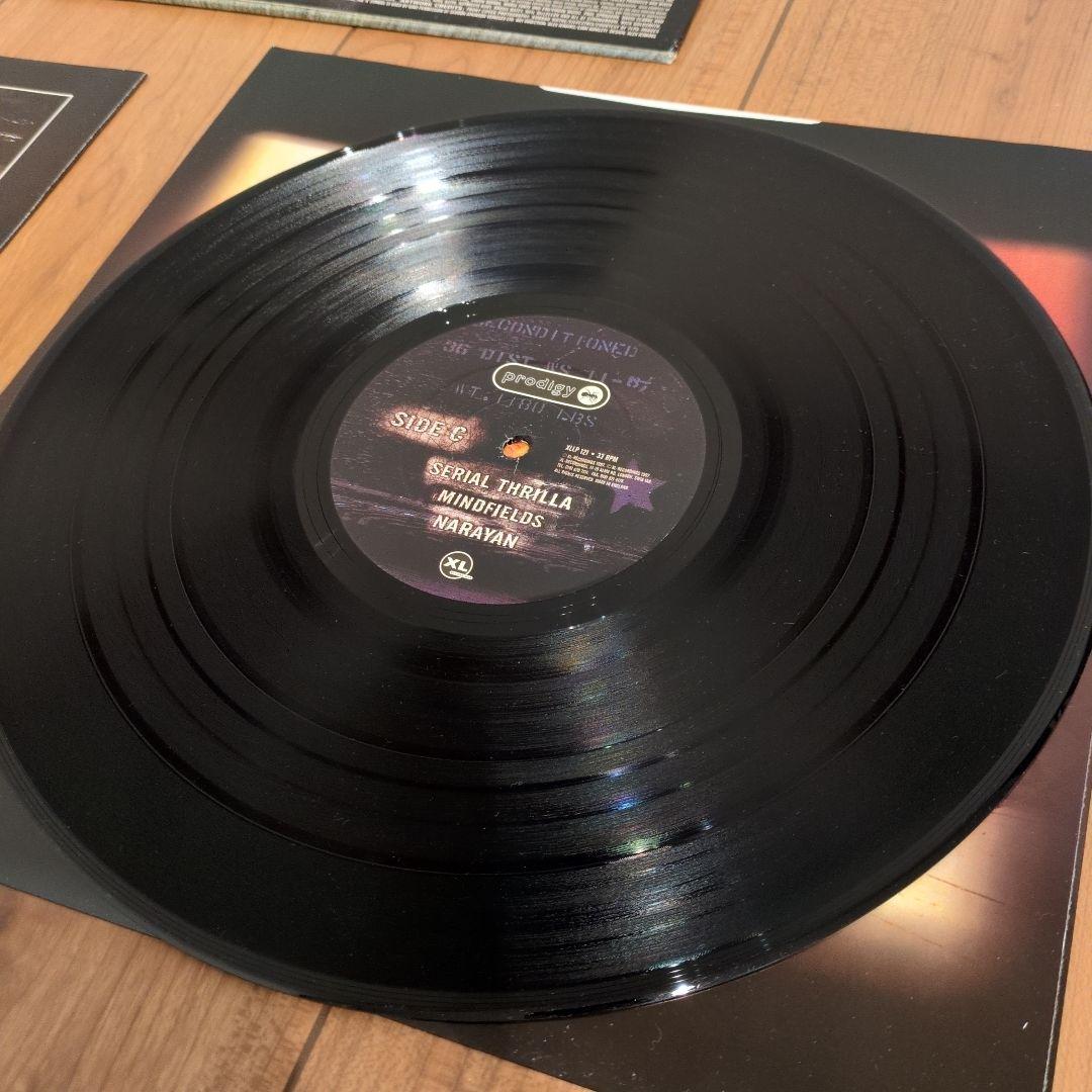 美品 PRODIGY THE FAT OF THE LAND プロディジー LP