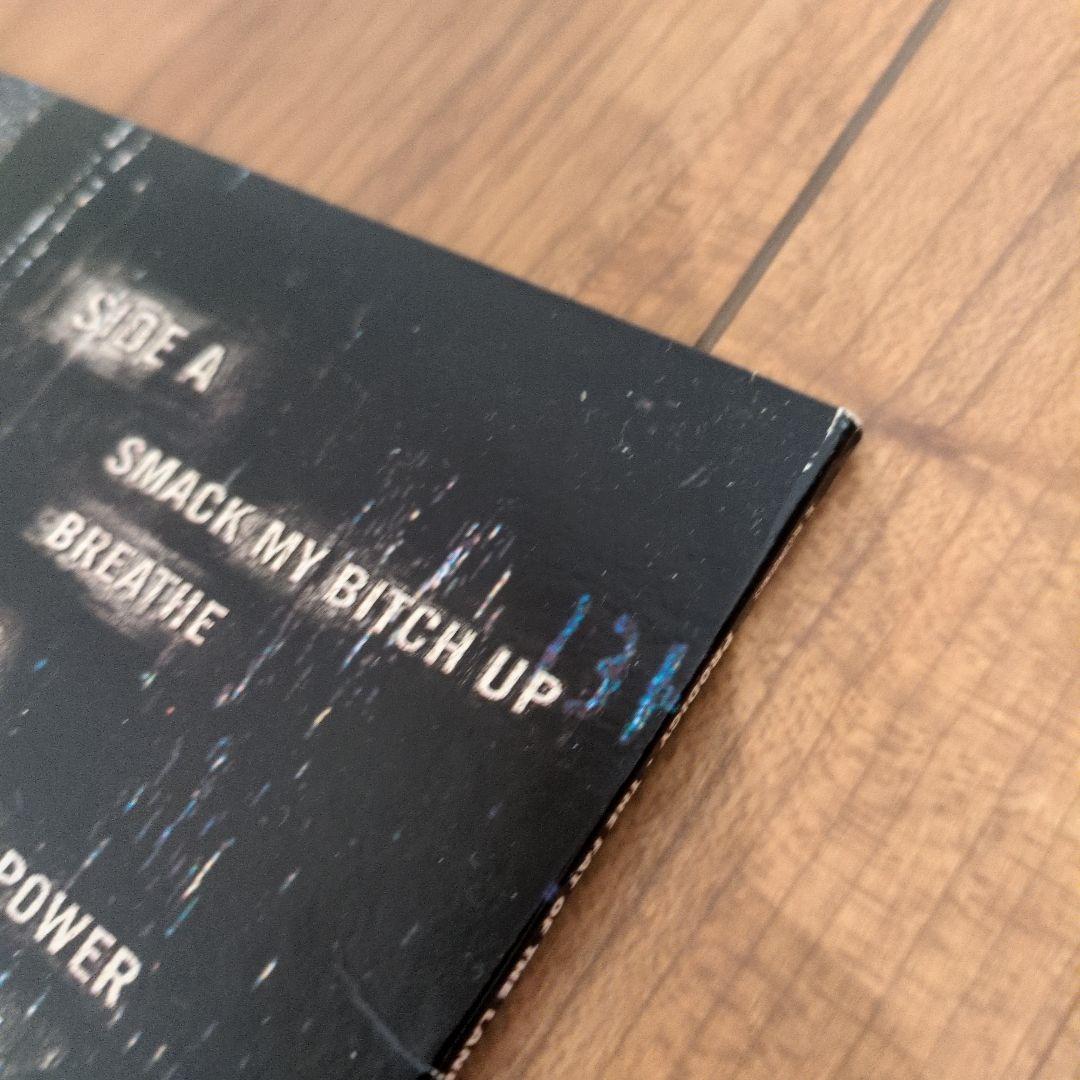 美品 PRODIGY THE FAT OF THE LAND プロディジー LP