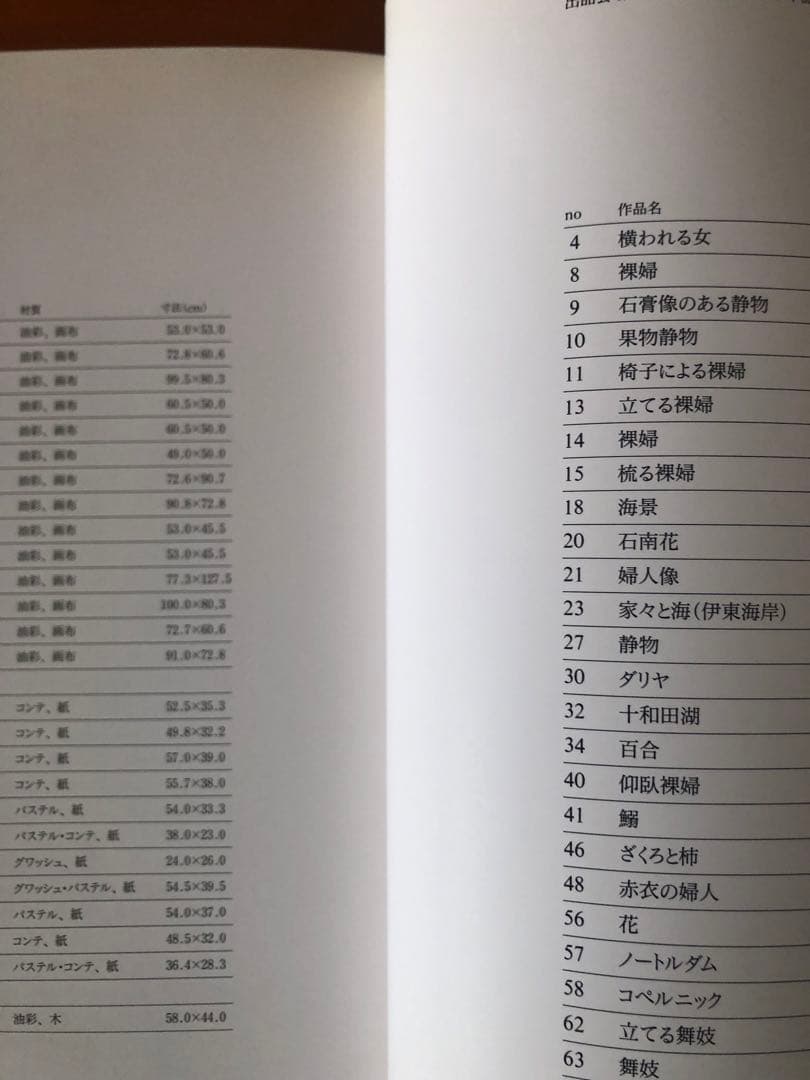 林武 生誕100年記念アート作品集