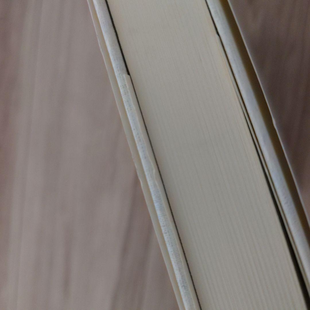 マグダラのマリアによる福音書 イエスと最高の女性使徒