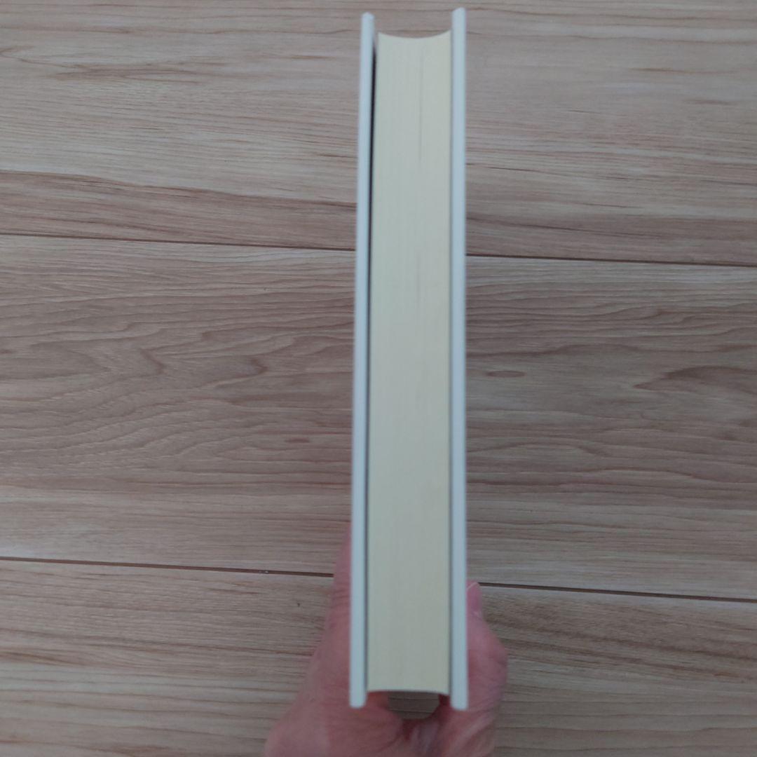 マグダラのマリアによる福音書 イエスと最高の女性使徒