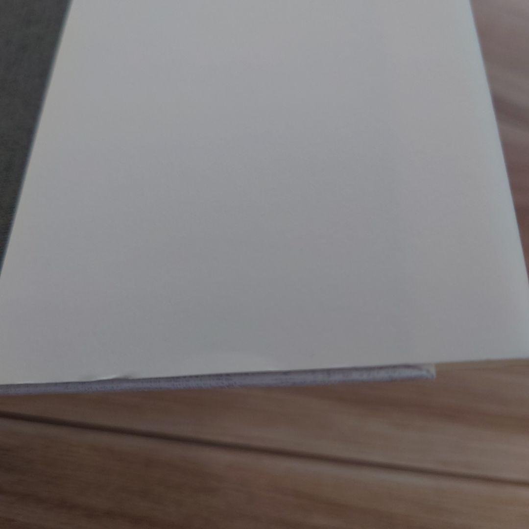 マグダラのマリアによる福音書 イエスと最高の女性使徒