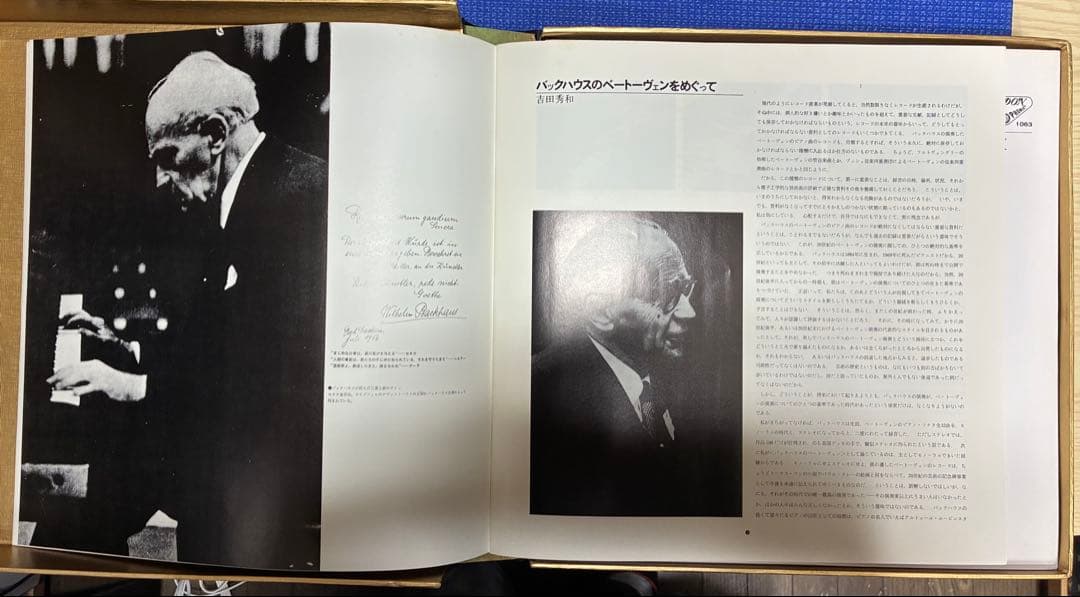 バックハウス　ベートーヴェンピアノソナタ全集　LP10枚組