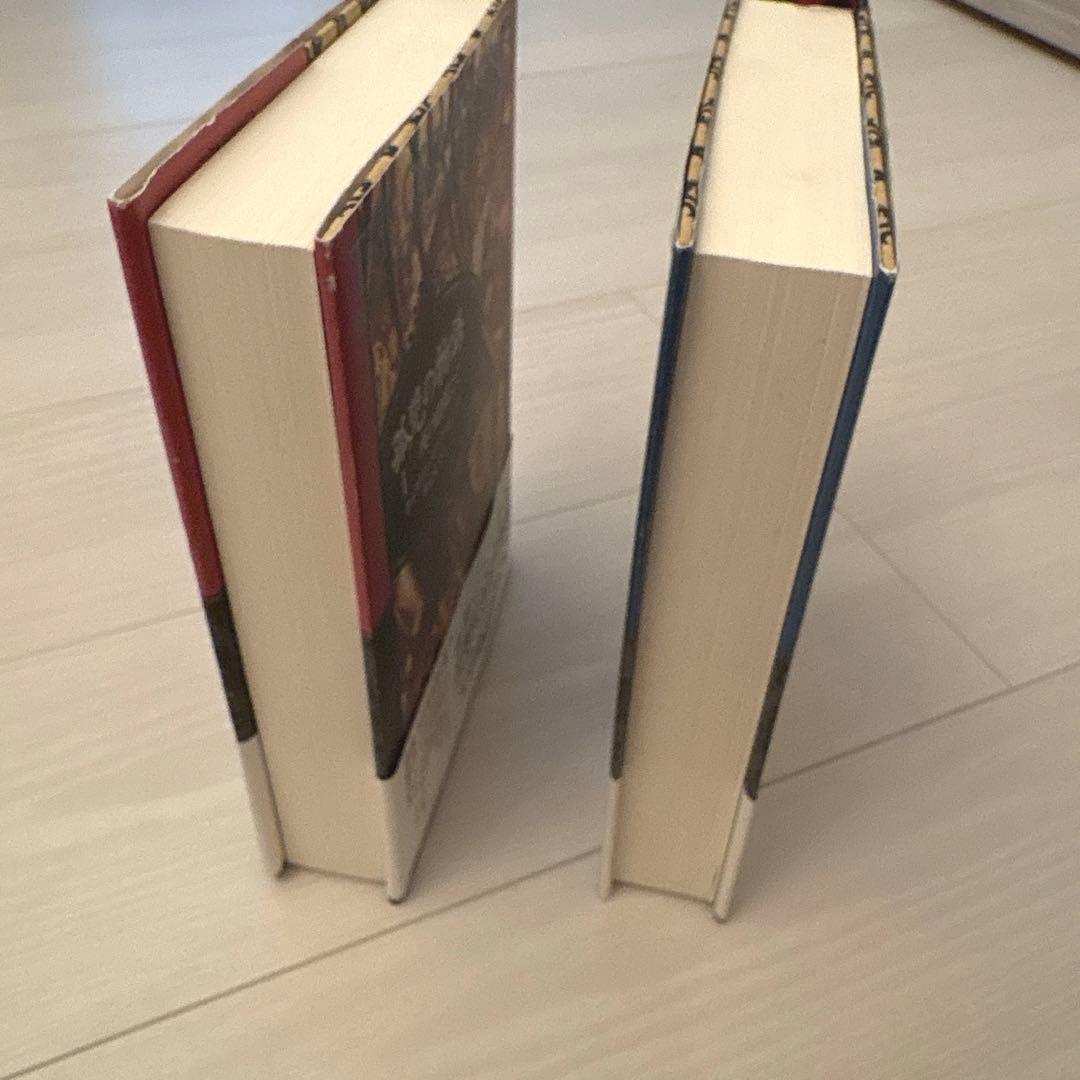 【美品】孤児の物語 I、IIセット