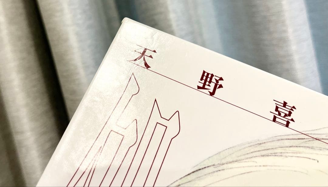 天野喜孝　美女画集　処女宮　画集　初版第1刷　帯付き　ケース付き