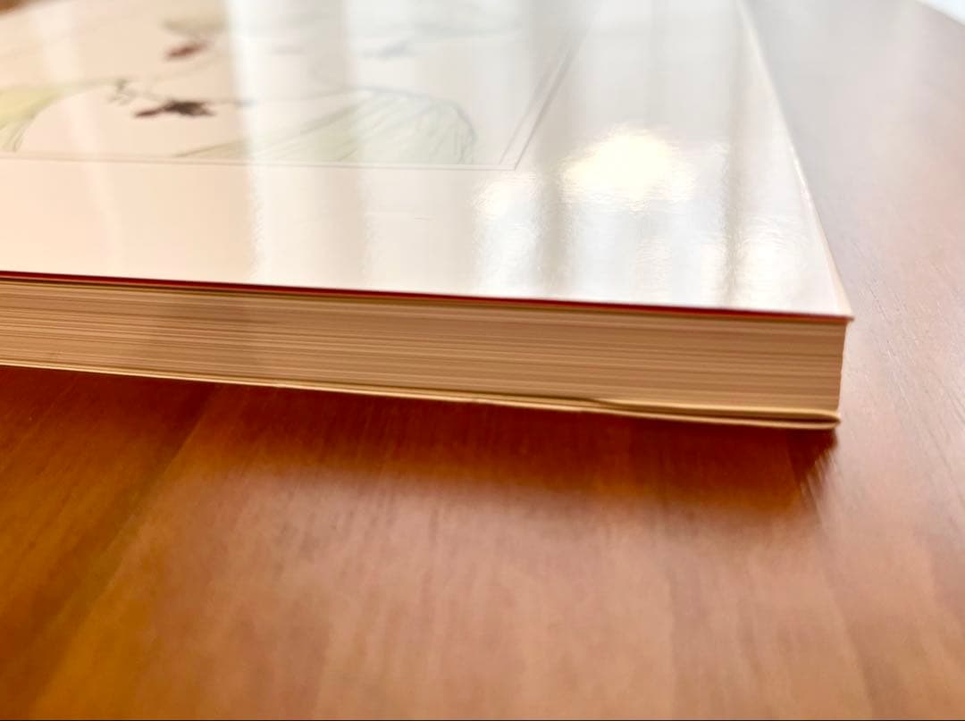 天野喜孝　美女画集　処女宮　画集　初版第1刷　帯付き　ケース付き