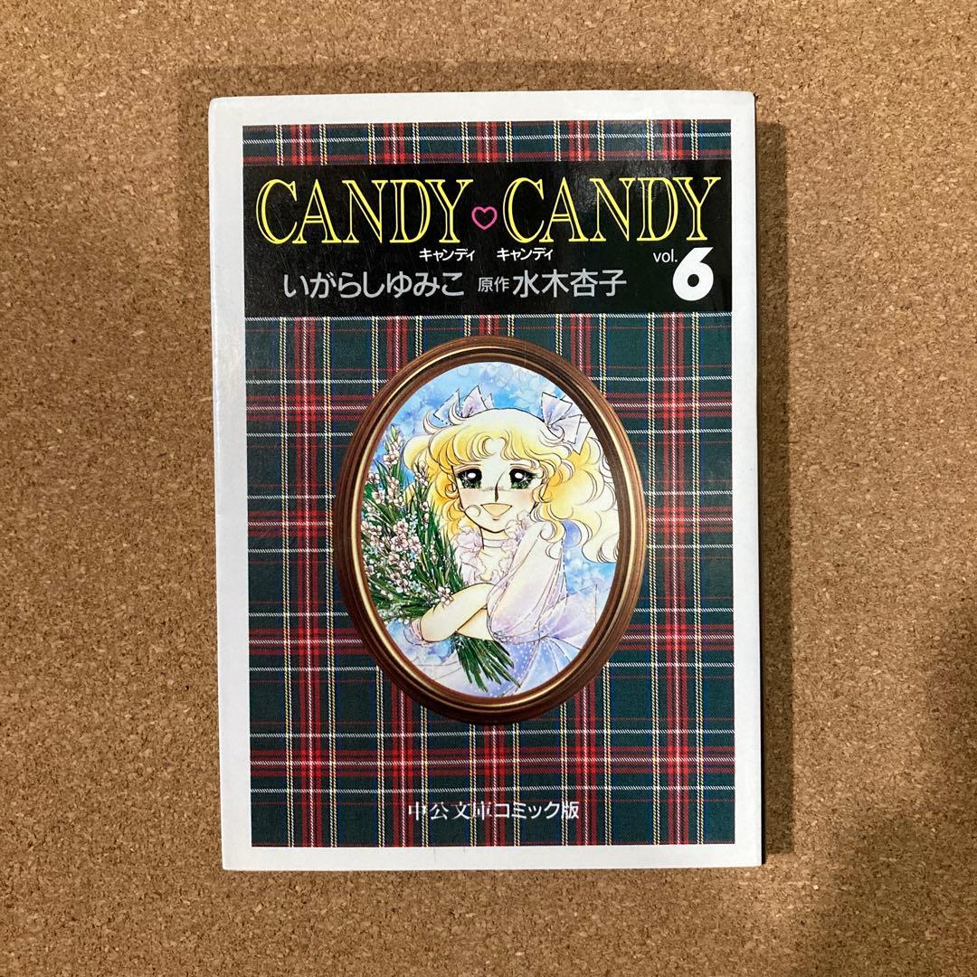 キャンディ♡キャンディ　2巻〜6巻　5冊　いがらしゆみこ　中公文庫