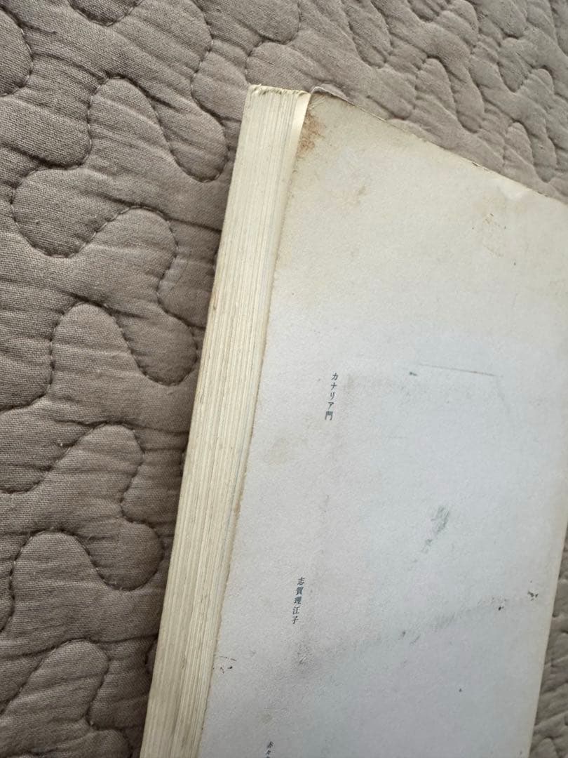 希少絶版本　志賀理江子　カナリア門 / CANARY - MON
