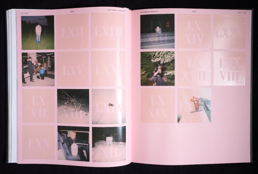 Klara Källström - GINGER BREAD MONUMENT