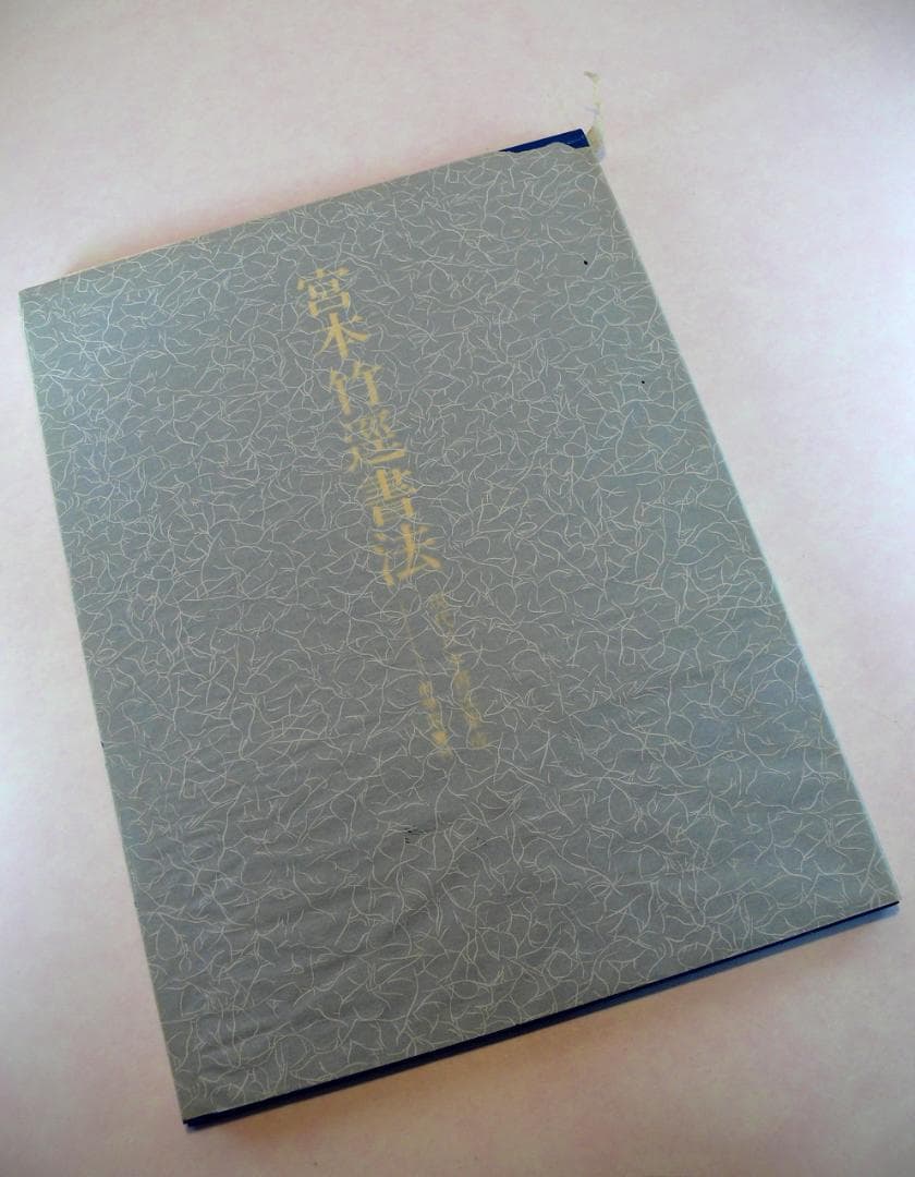 現代日本書法集成 ☆【書法10冊】