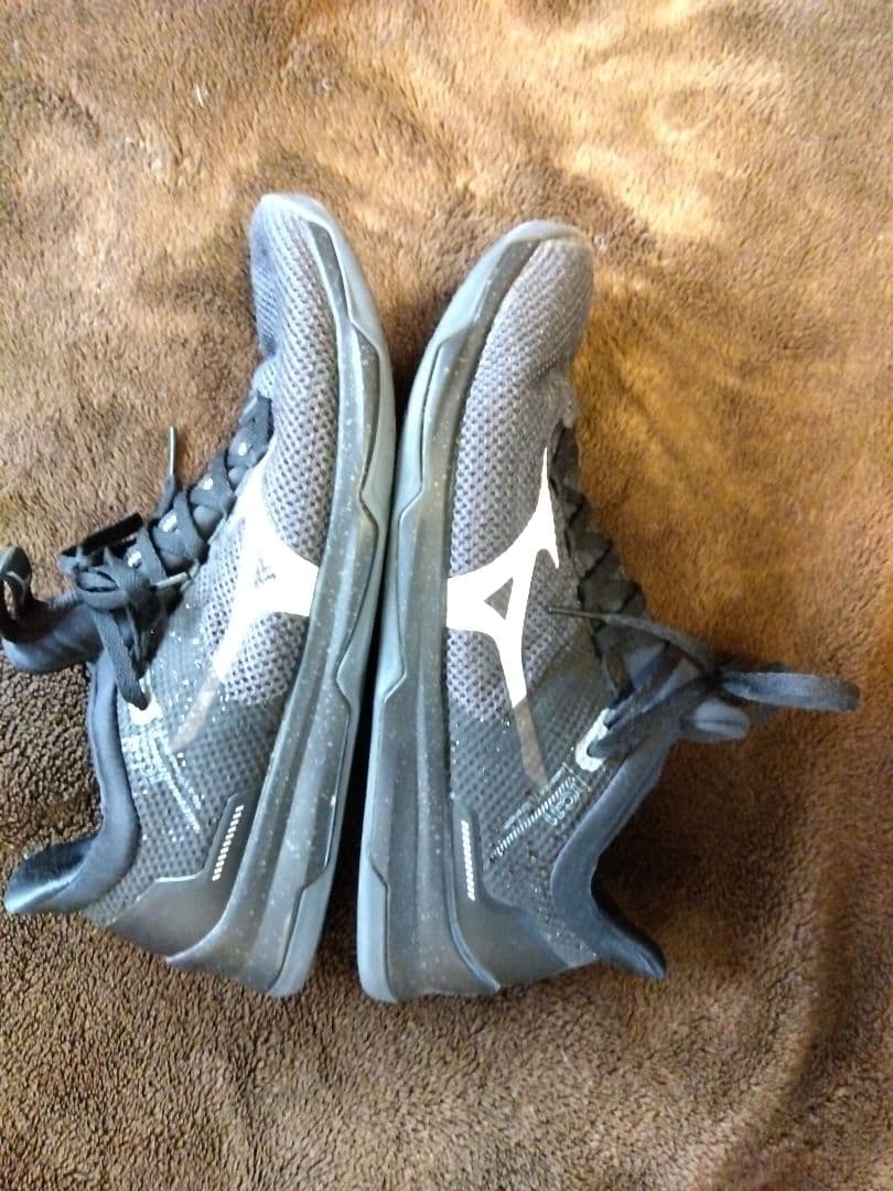 ミズノトレーニングシューズ　27.0