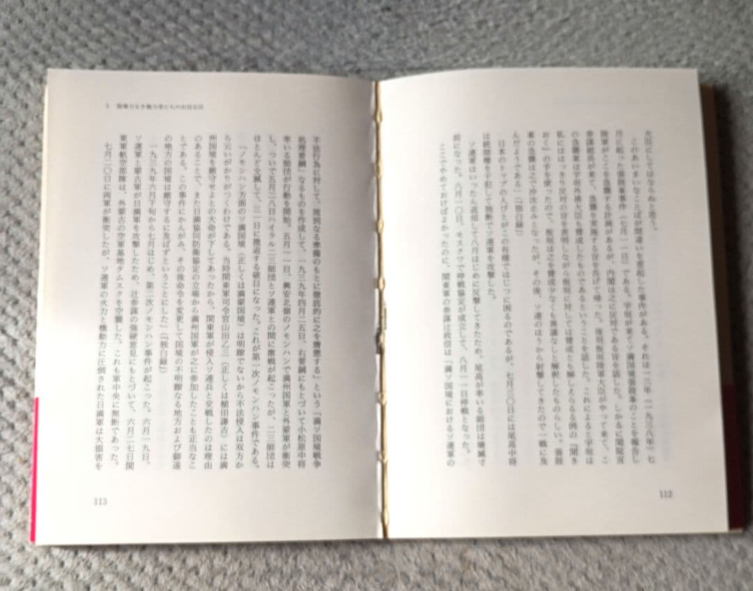 昭和天皇の謎 神として、人として / 鹿島昇 / 新国民社