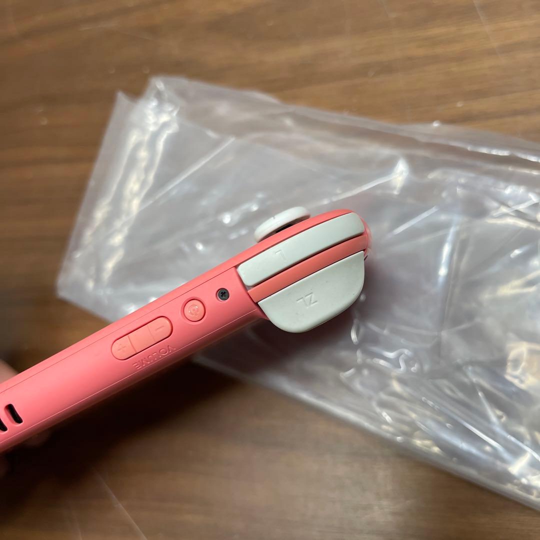 Nintendo Switch Lite 箱・充電器付き 動作確認済み