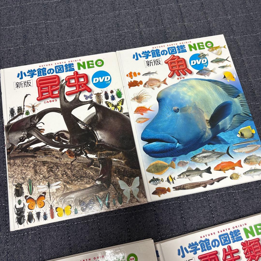 小学館の図鑑 NEO 学研の図鑑 LIVE 9冊まとめ売り