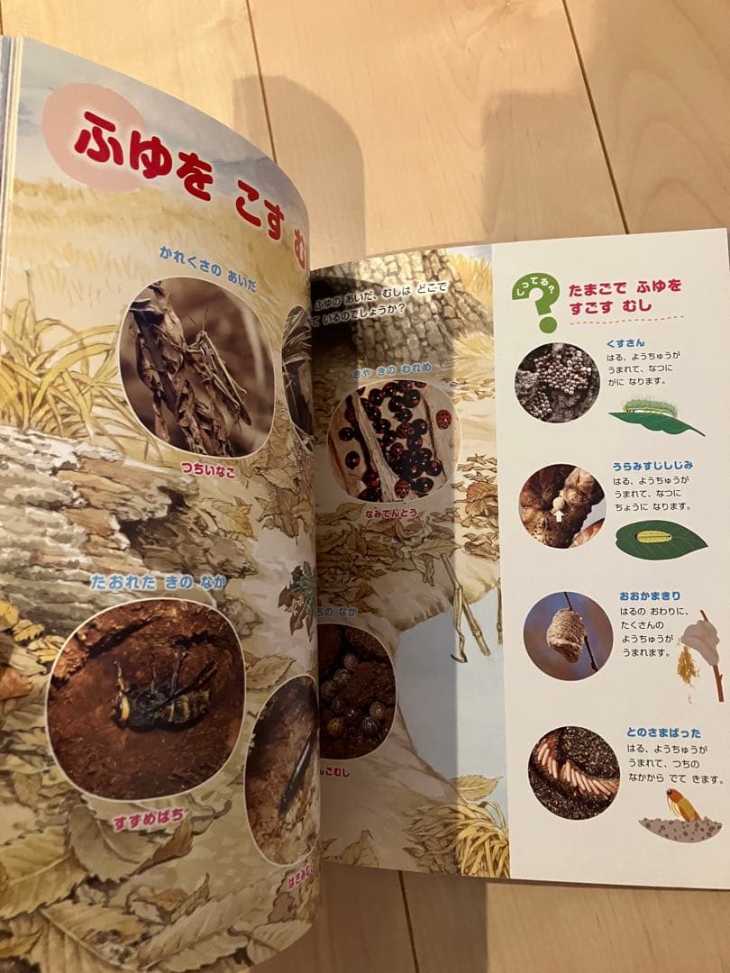 新版ふれあいしぜん図鑑　春夏秋冬セットGakken 小学校受験　幼稚園受験　季節