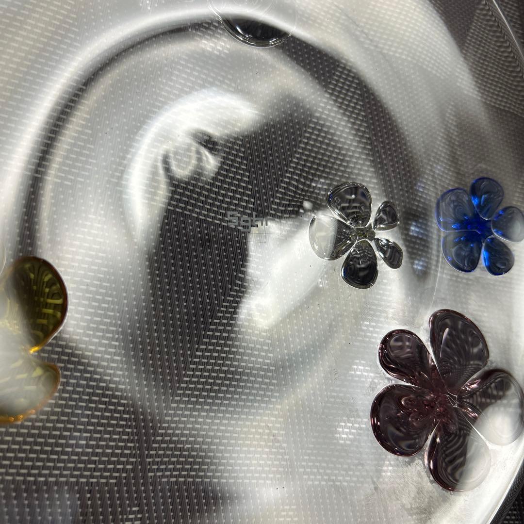 スガハラ sghr カメリアプレート　23㎝　定価22000円　パーティなどに