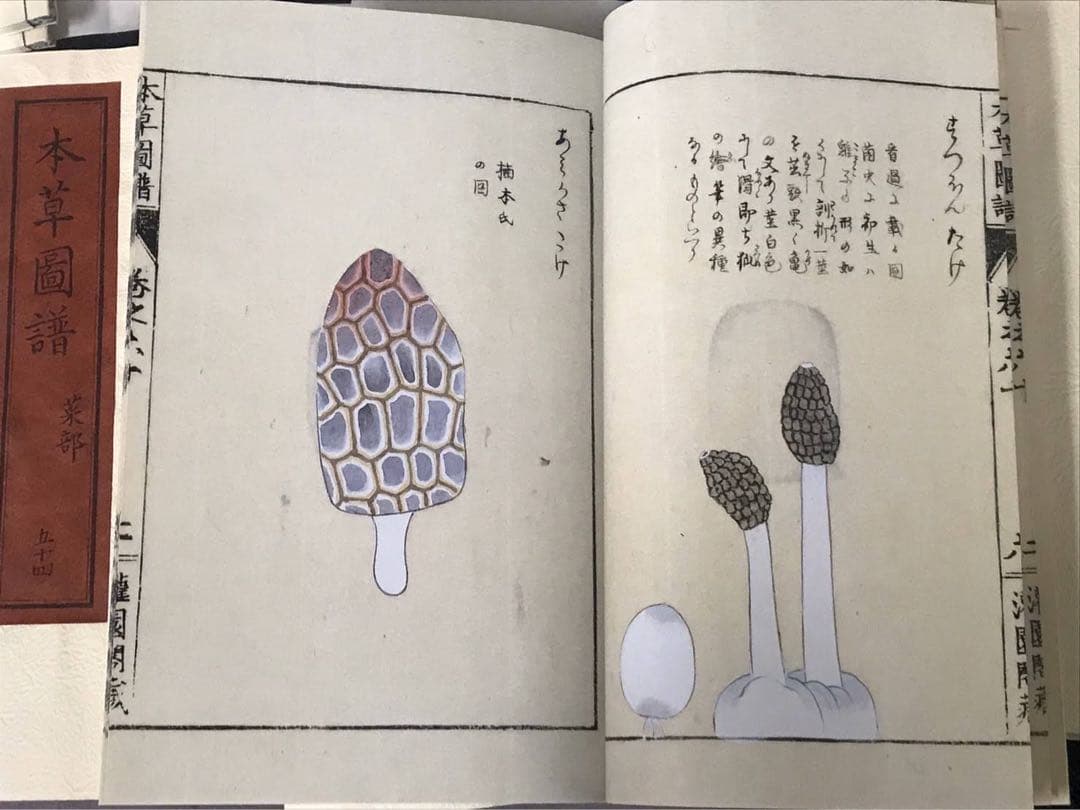 復刻版　本草図譜