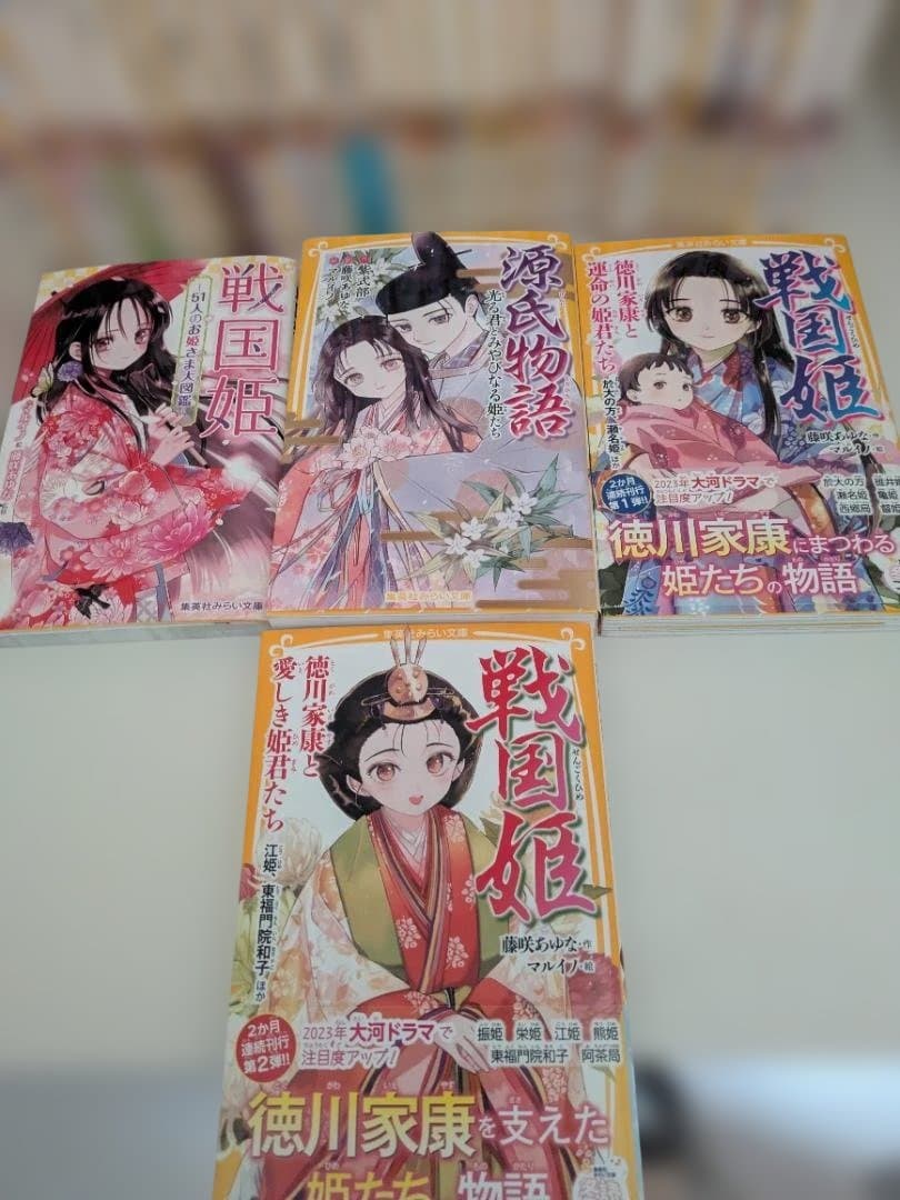 戦国姫・幕末姫・源平姫・源氏物語28冊セット