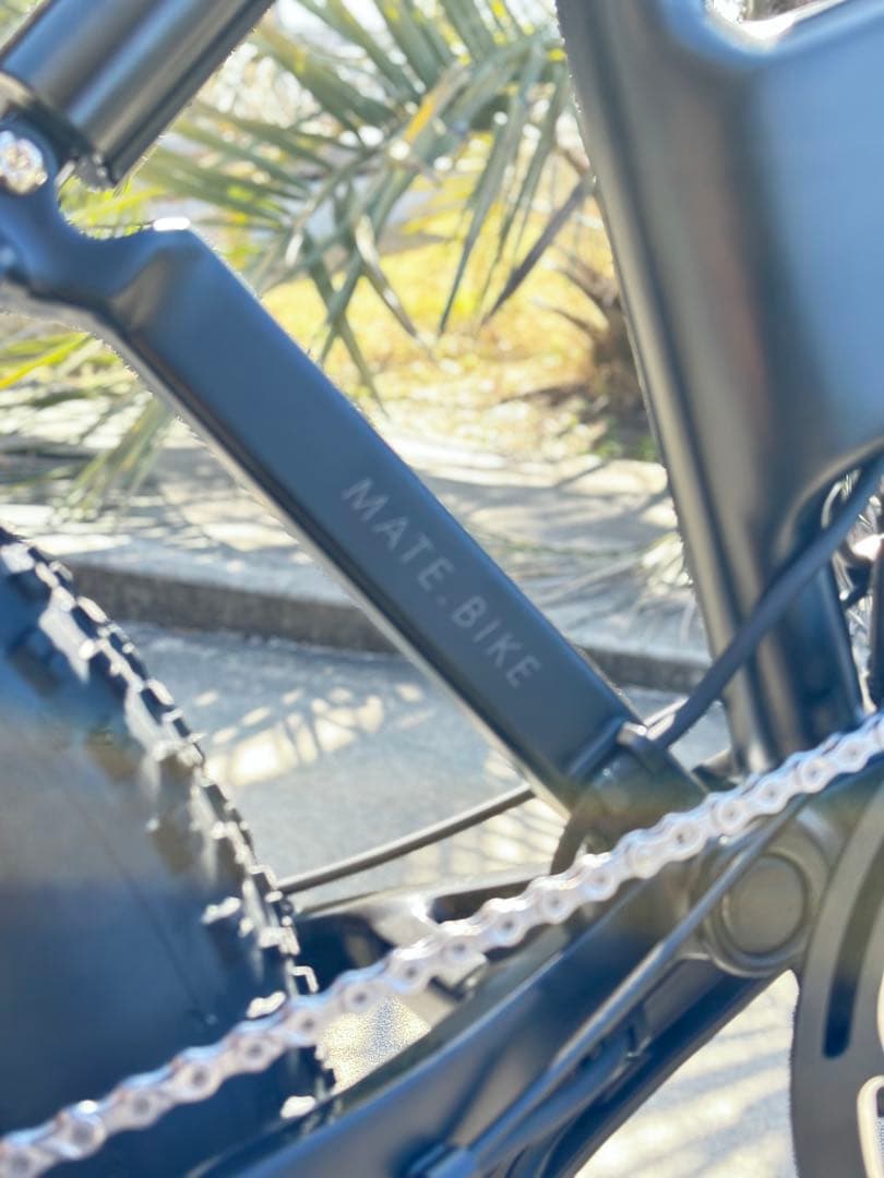 【美品】MATE X 250W eバイク 電動自転車 Subdued Black