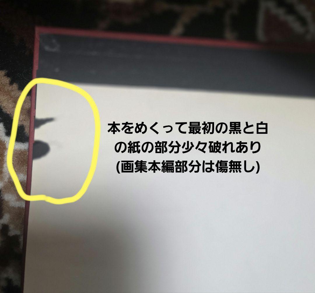 緋いユリ 小島文美画集 表紙破れあり