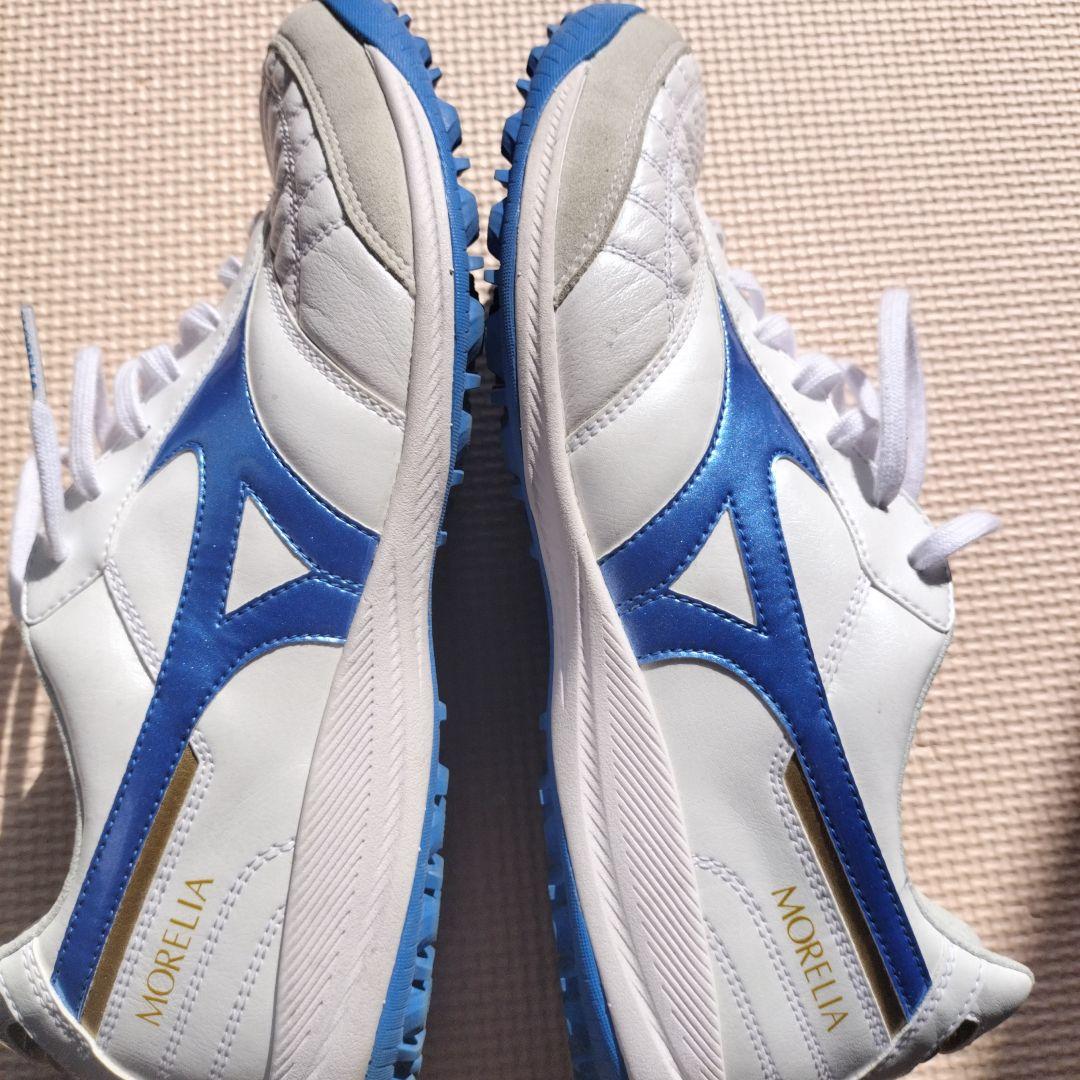 週末限定値下げ　モレリアサラジャパン　 25cm