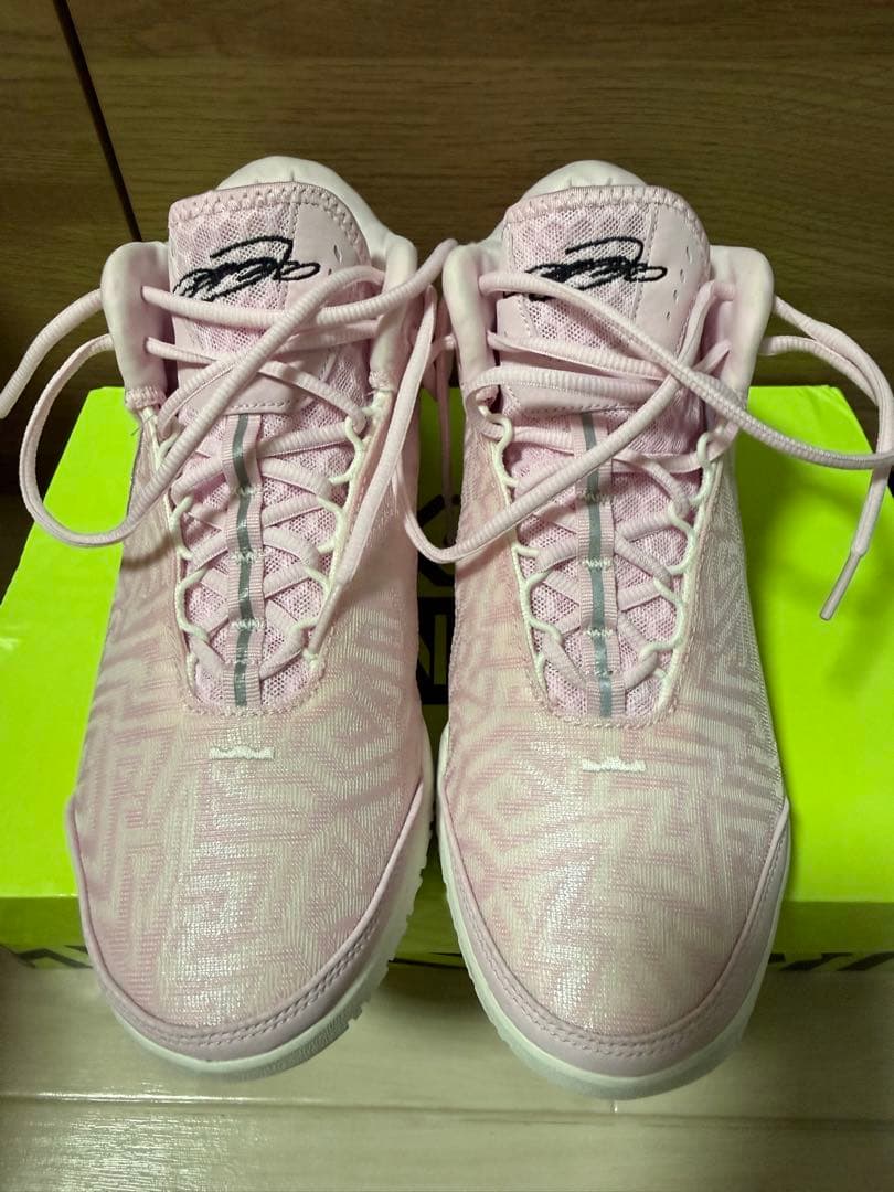 シューズ(男性用) NIKE LeBron NXXT GENISUS EP