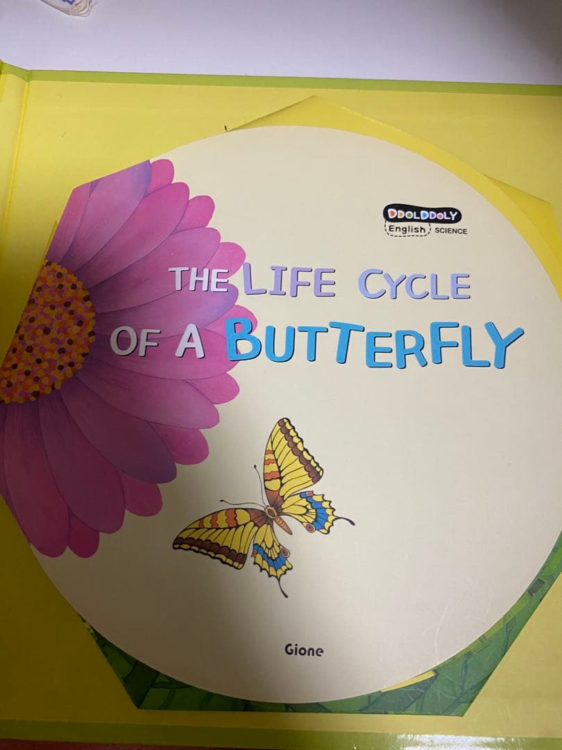 (最終値下げ)英語絵本シリーズ 多数セット