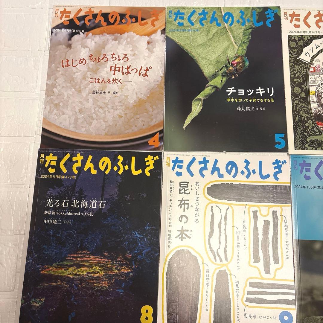 月刊たくさんのふしぎ　2024.4〜2025.3 12冊セット